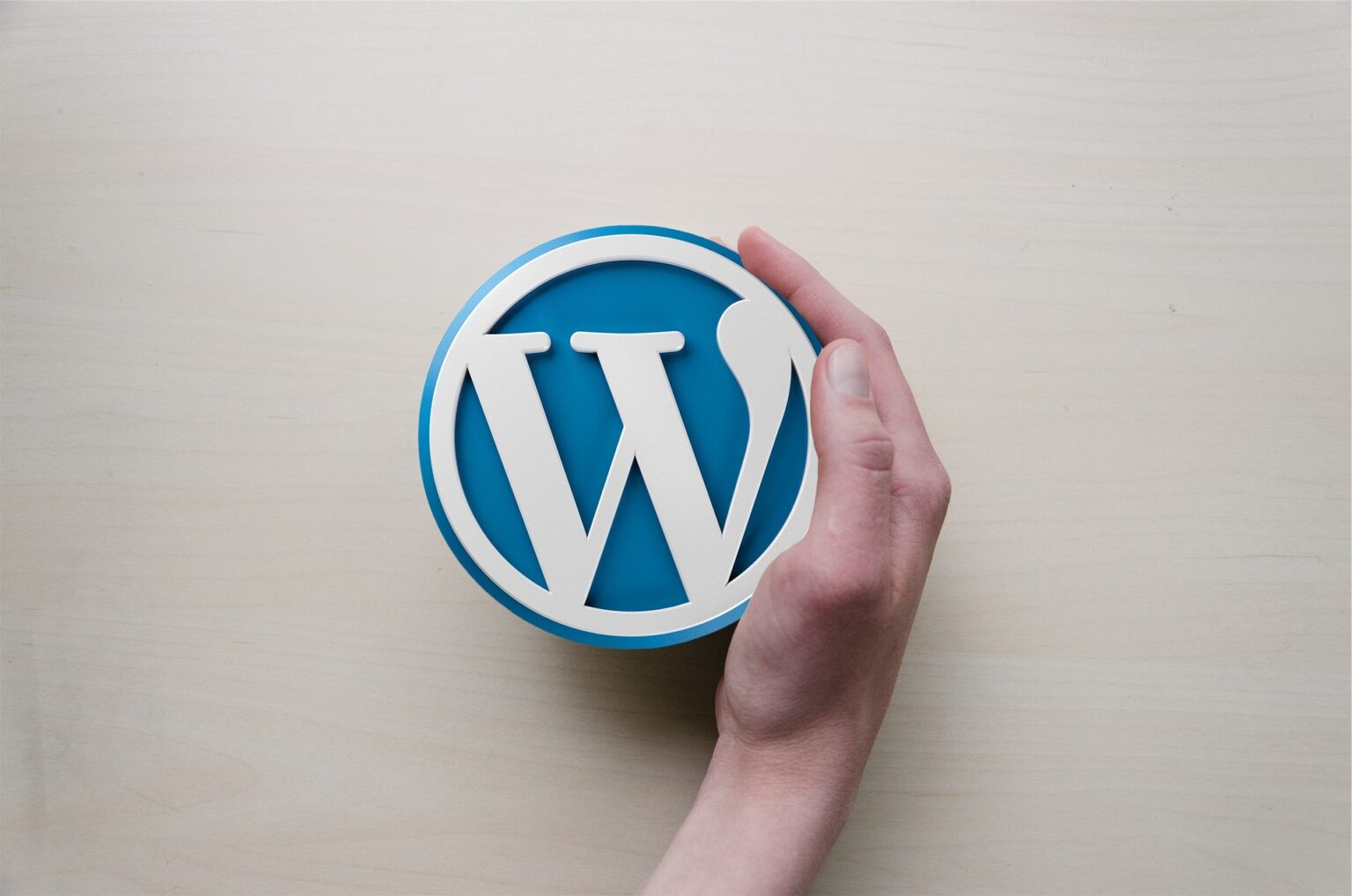 WordPress 6.5